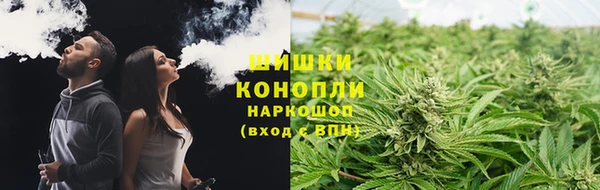шишки Ростов