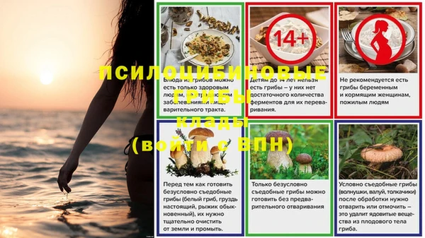 ешки Алексеевка