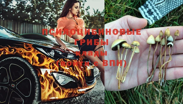 ешки Алексеевка