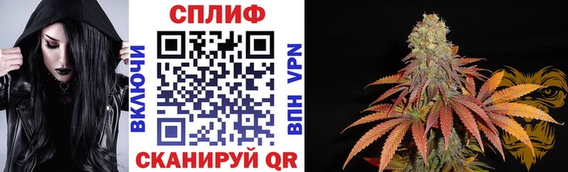 Канабис MAZAR Жиздра